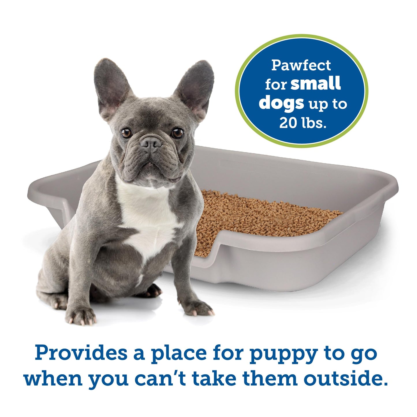 PuppyGoHere Dog Litter Pan by Indoor Training System-Large, Gray