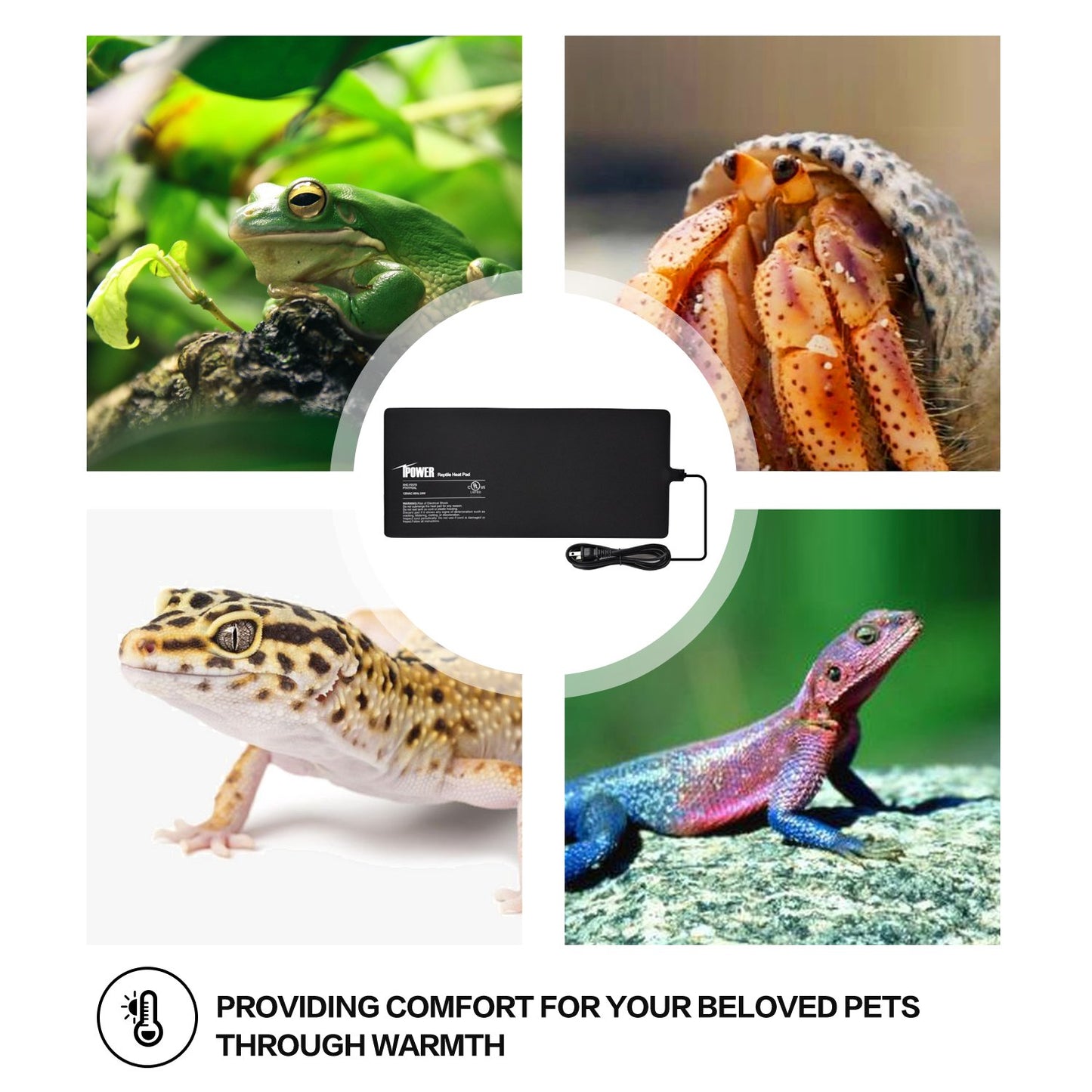 iPower 8 by 18-Inch 24 Watt Reptile Heat Pad Under Tank Terrarium Heater Heat Mat for Small Animals