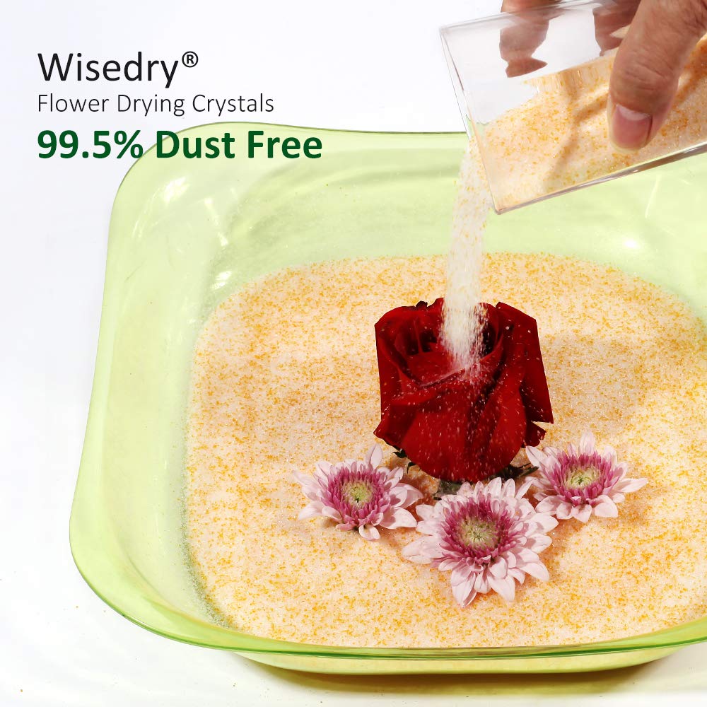 wisedry 10 LBS Silica Gel Flower Drying Crystals, 2 Packs of 5 LBS, Color Indicating, Reusable