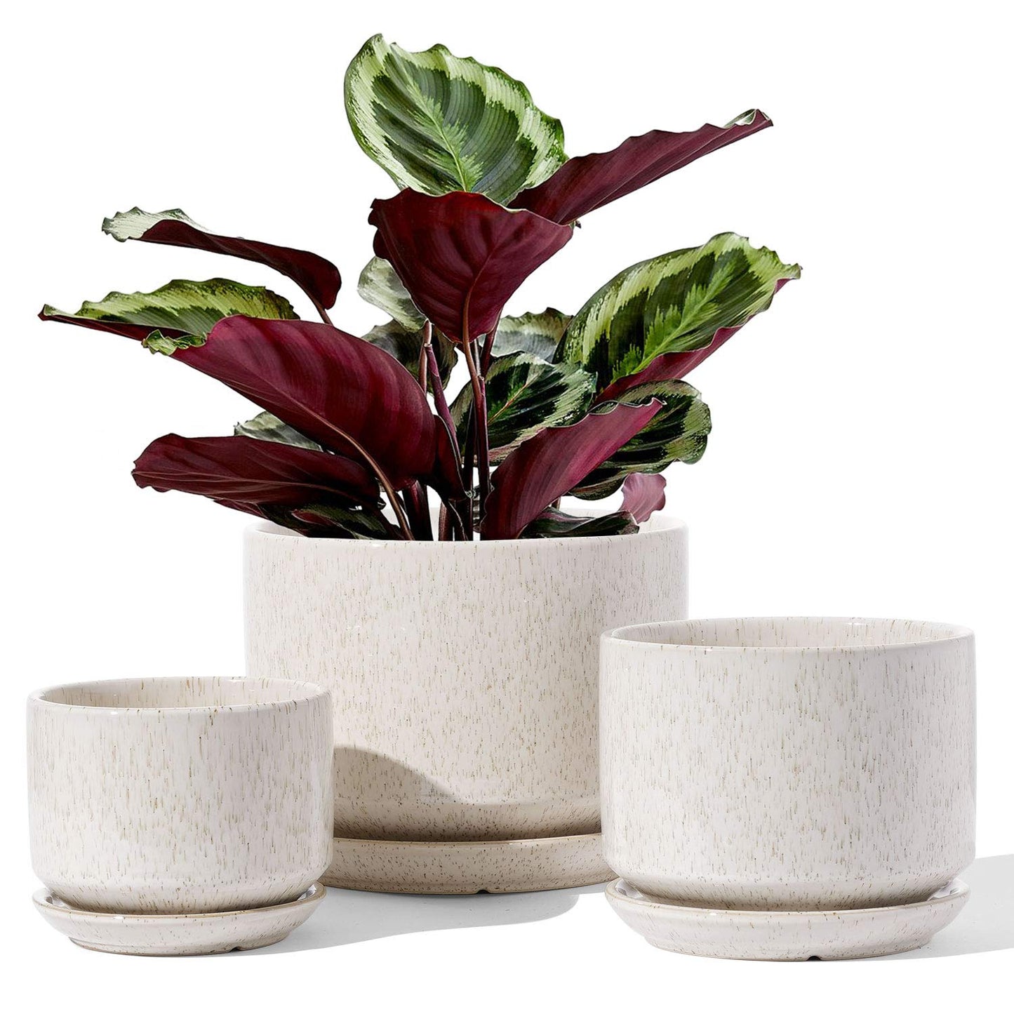 LE TAUCI Ceramic Plant Pots, Set of 3, 4.3+5.3+6.8 inch Plant Pots Indoor, Planters Pots with Drainage Hole & Saucer, Indoor Flower Pot with Mesh Pad, Pot Plante Interieur, Reactive Glaze Beige