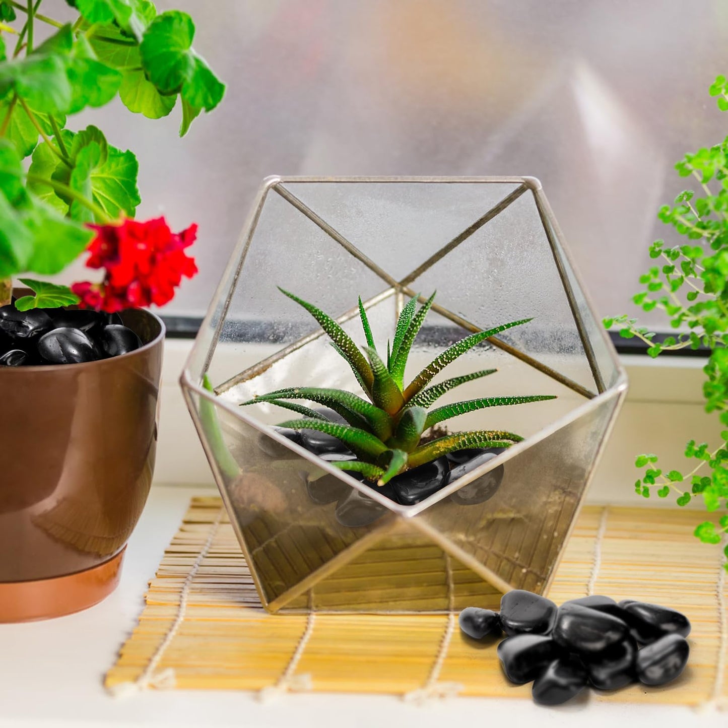 SOUJOY 15LBS Natural Polished Black River Rocks, 1-2 Inch Polished Pebbles for Landscaping Outdoor, Smooth Decorative Stones for Plants, Flower Bed Fish Tank Gravel Garden Home Decor