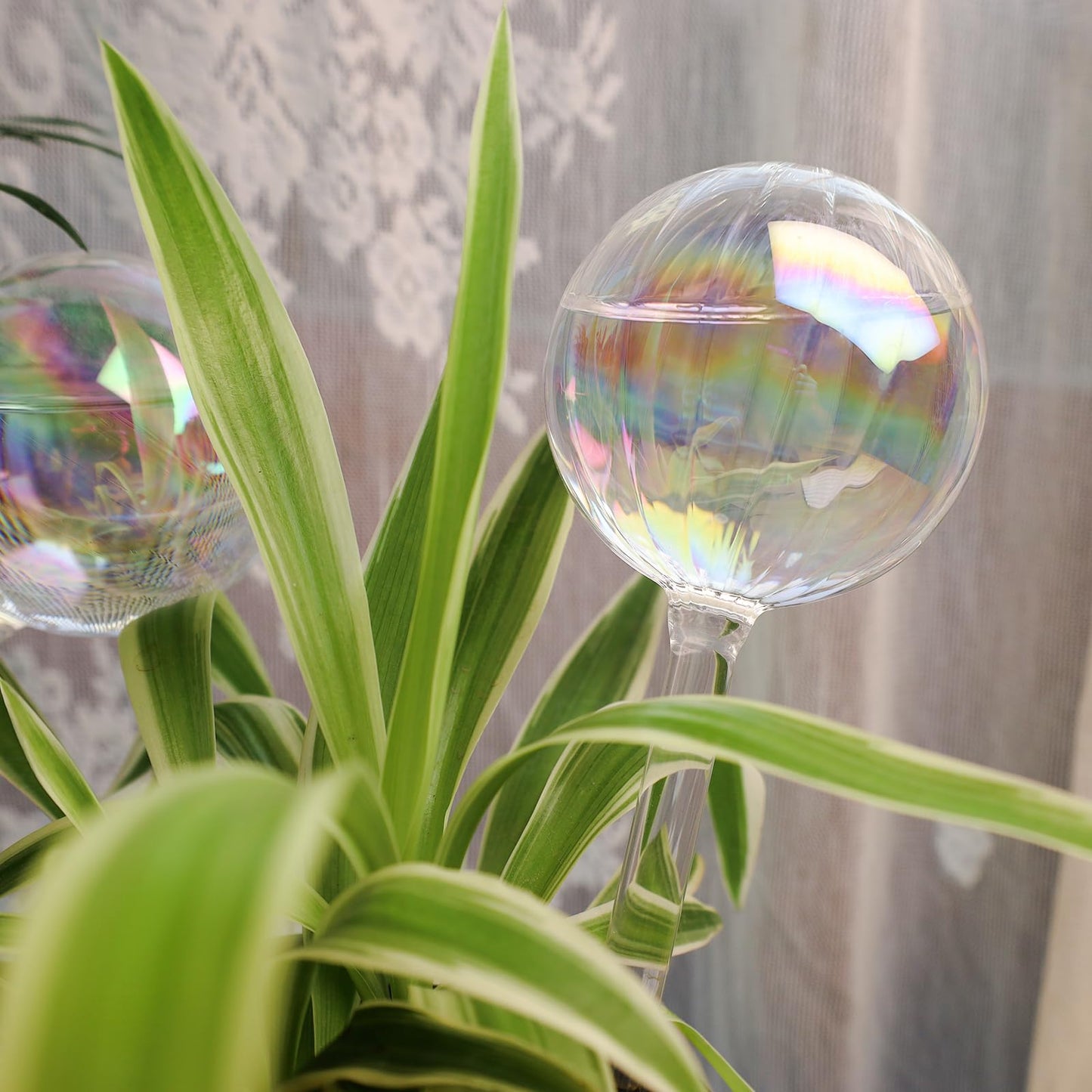 KiKiHeim 6Pcs Plant Watering Bulbs, Iridescent Glass Self Watering Spikes Planter Insert, Hand Blown Automatic Water Globes for Indoor Outdoor Plants