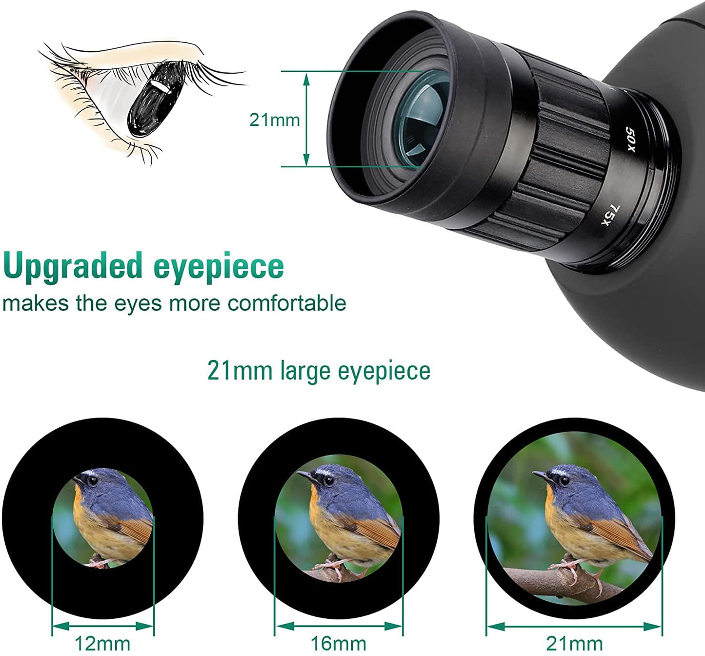 SVBONY SV28 Spotting Scopes with Tripod, Angled 25-75x70mm Spotter Scope with Phone Adapter, Waterproof Fogproof Spotting Scope for Bird Watching, Target Shooting, Wildlife Viewing, Black