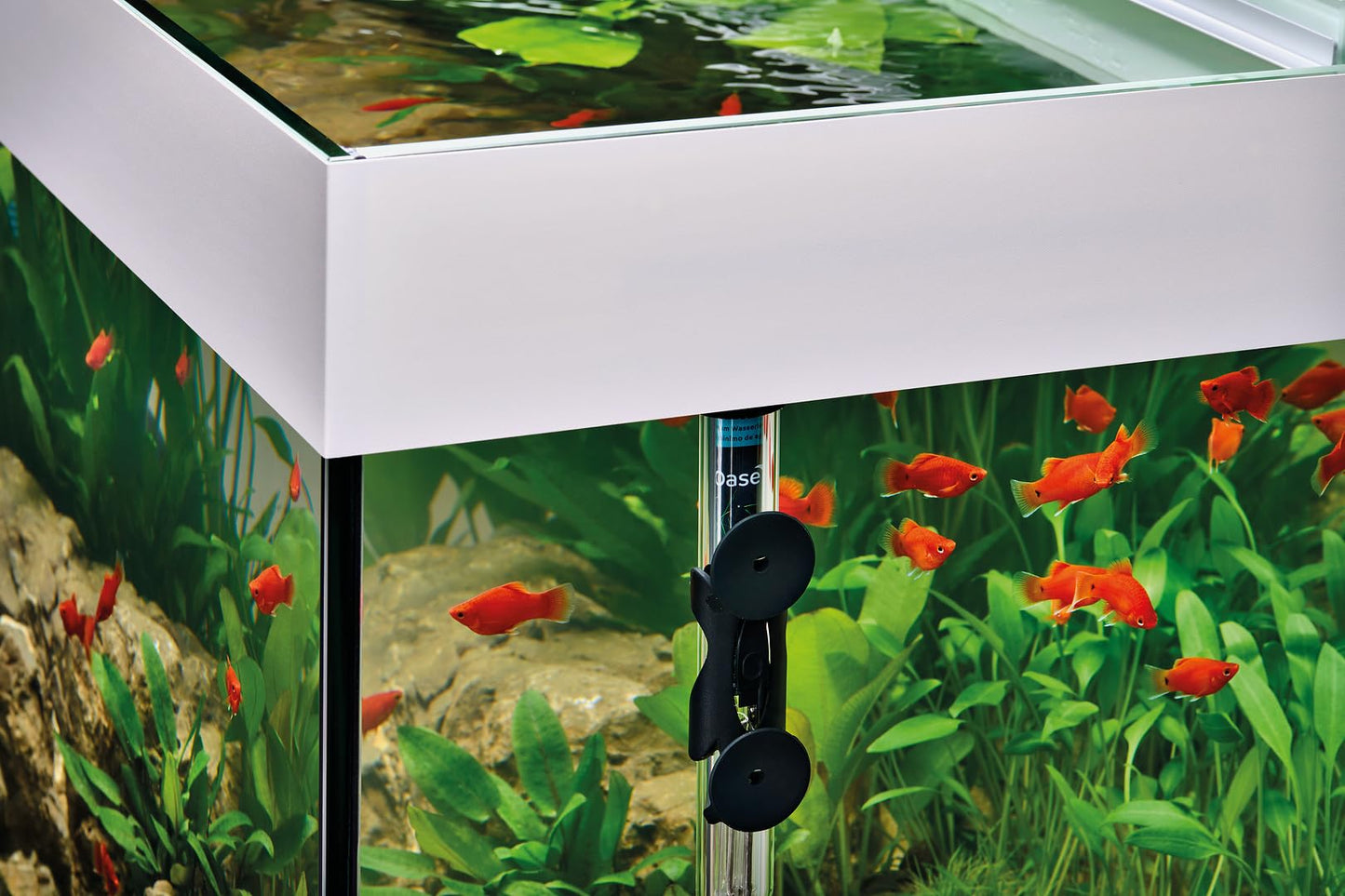 OASE Indoor Aquatics HeatUp 300 Watt Aquarium Heater, Clear