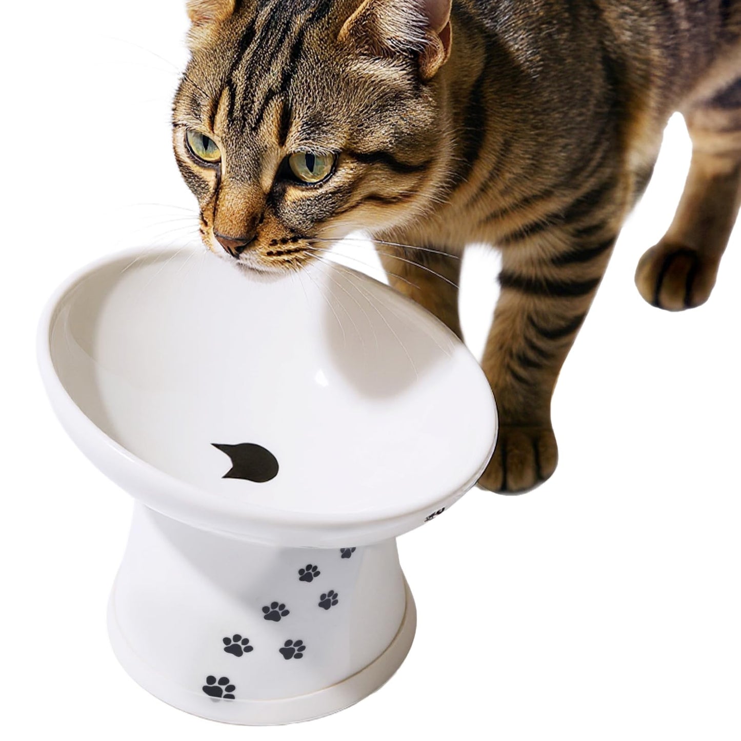 Necoichi Extra Wide Raised Cat Food Bowl (Cat, Extra Wide Tilted)