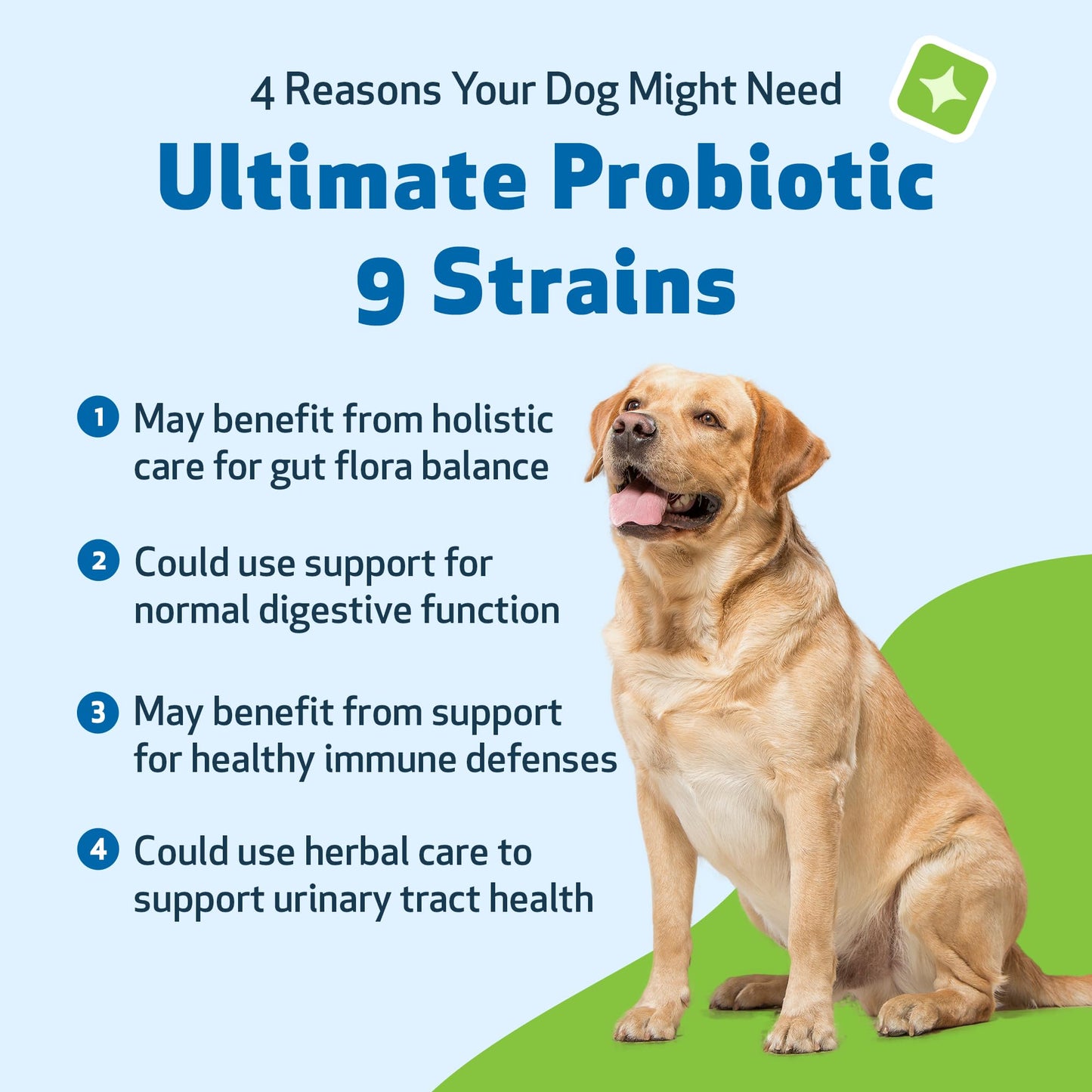 Pet Wellbeing Ultimate Probiotic 9 Strains with Prebiotics for Dogs - Supports the Gut Microbiome and Digestion, Immune System Care, Urinary Tract Health, FOS, 2.5 billion CFU - 5.64 oz (160 g) Powder