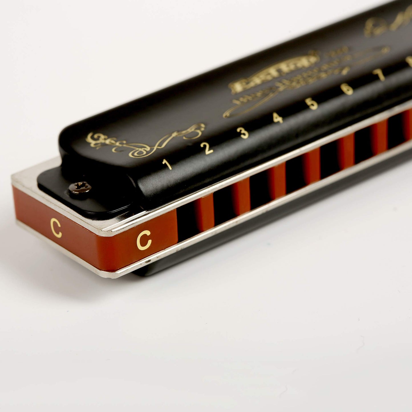 Diatonic Blues Harmonica 10 Holes Blues Harmonica 20 tones black T008K with Case，More Professional Harmonica for Beginner ，Students，Adults and Professional Player（key of C）