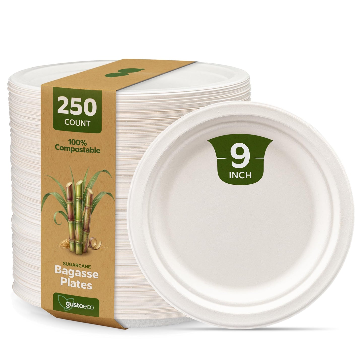 Gusto [9 Inch - 250 Pack Heavy-Duty White Paper Plates, 100% Compostable, Eco-Friendly - Biodegradable Disposable Plates, Sugarcane Paper Plates - Formerly Comfy Package