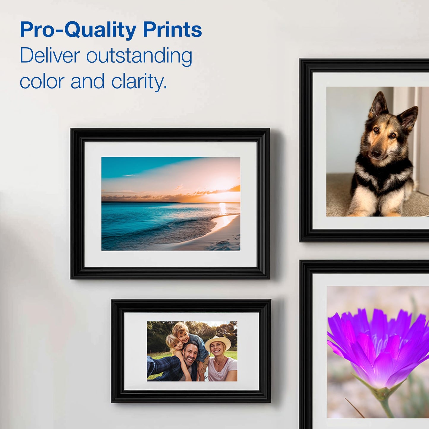 20sht 11x17 Premium Glossy Photo Paper F/Sp 1270 1280 2200