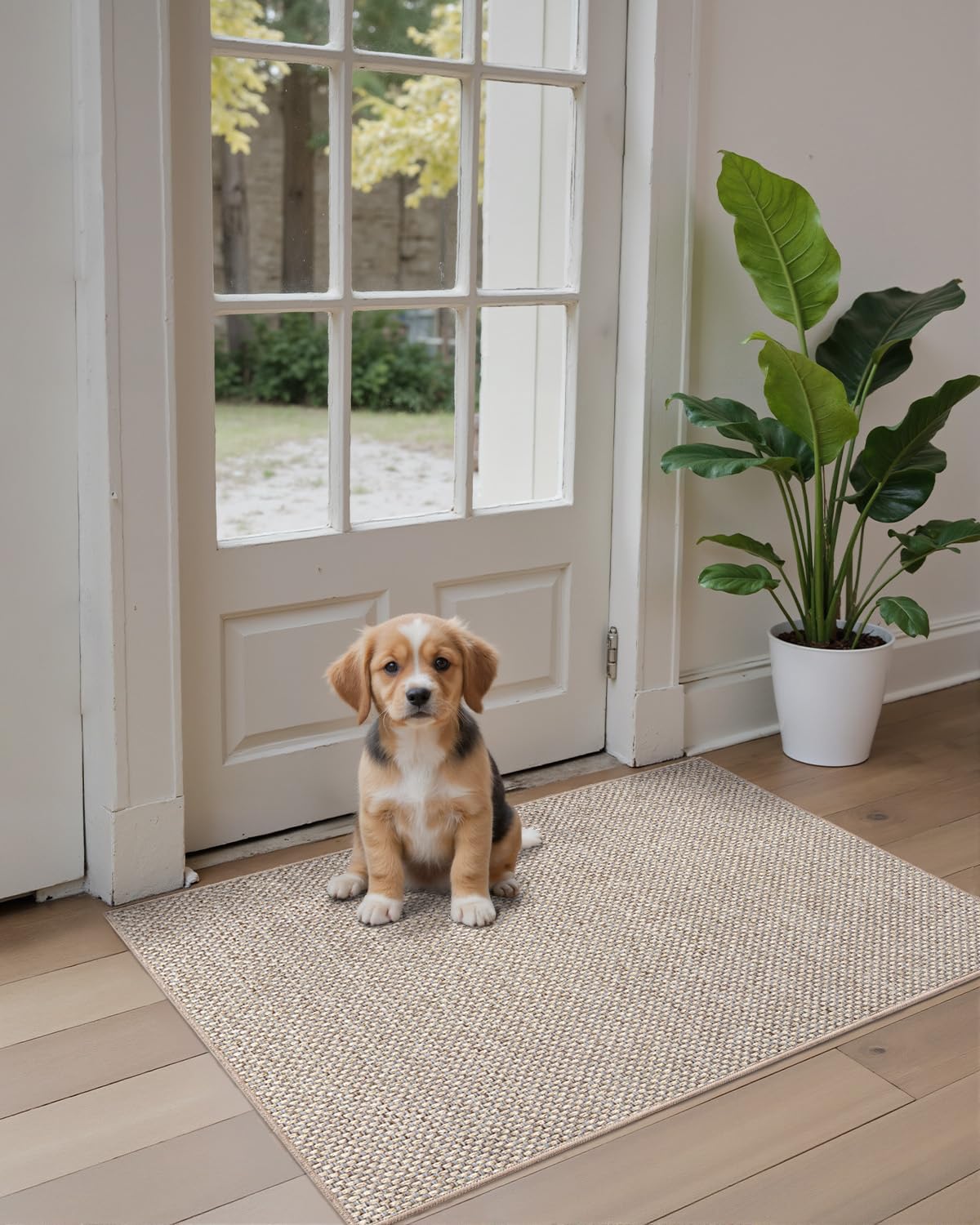 DEXI Front Door Mat Indoor, 36x56 Dirt Trapper Absorbent, Low Profile Non Slip Entrance Rug, Easy Clean Washable Inside Doormat for Entryway, Living Room, Laundry Room, Beige