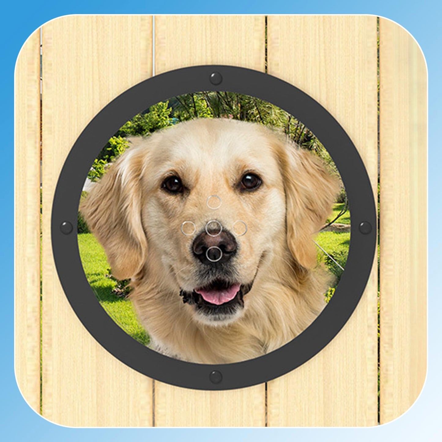 CAWUWE 2 Pack Dog Fence Window with Air Holes Clear Pet Bubble View Dome Door Peek Small Round Window for Doggie/Cat/Horse Outside Playground Garden Diameter 12.44 Inch Deep 4.92 Inch