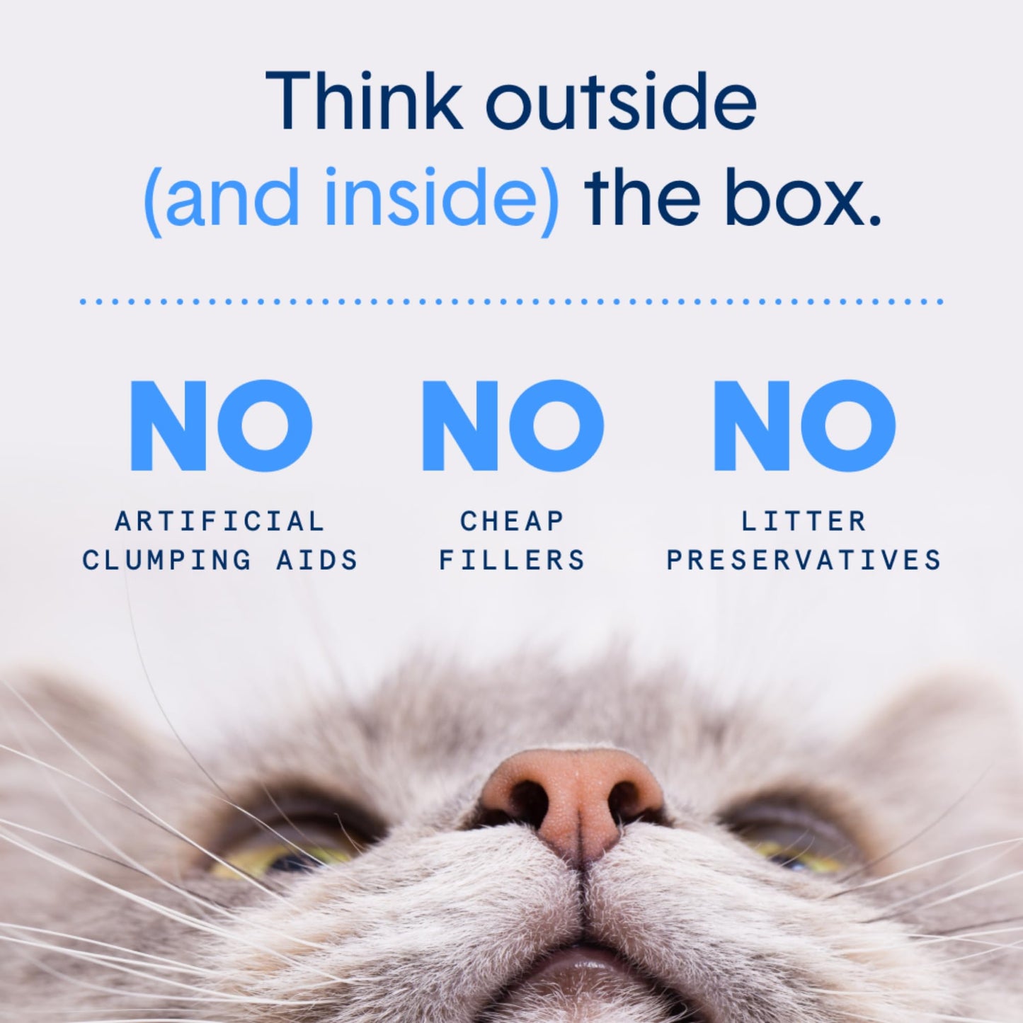 Boxie® Glo™ Natural Attractions 30 Day Odor Control Clumping Corn Cat & Kitty Litter, 6.5 lb, 99.9% Dust-Free, Plant-Based, Lightweight, Strong Clumping, UV Light Attractant for Litter Box Use