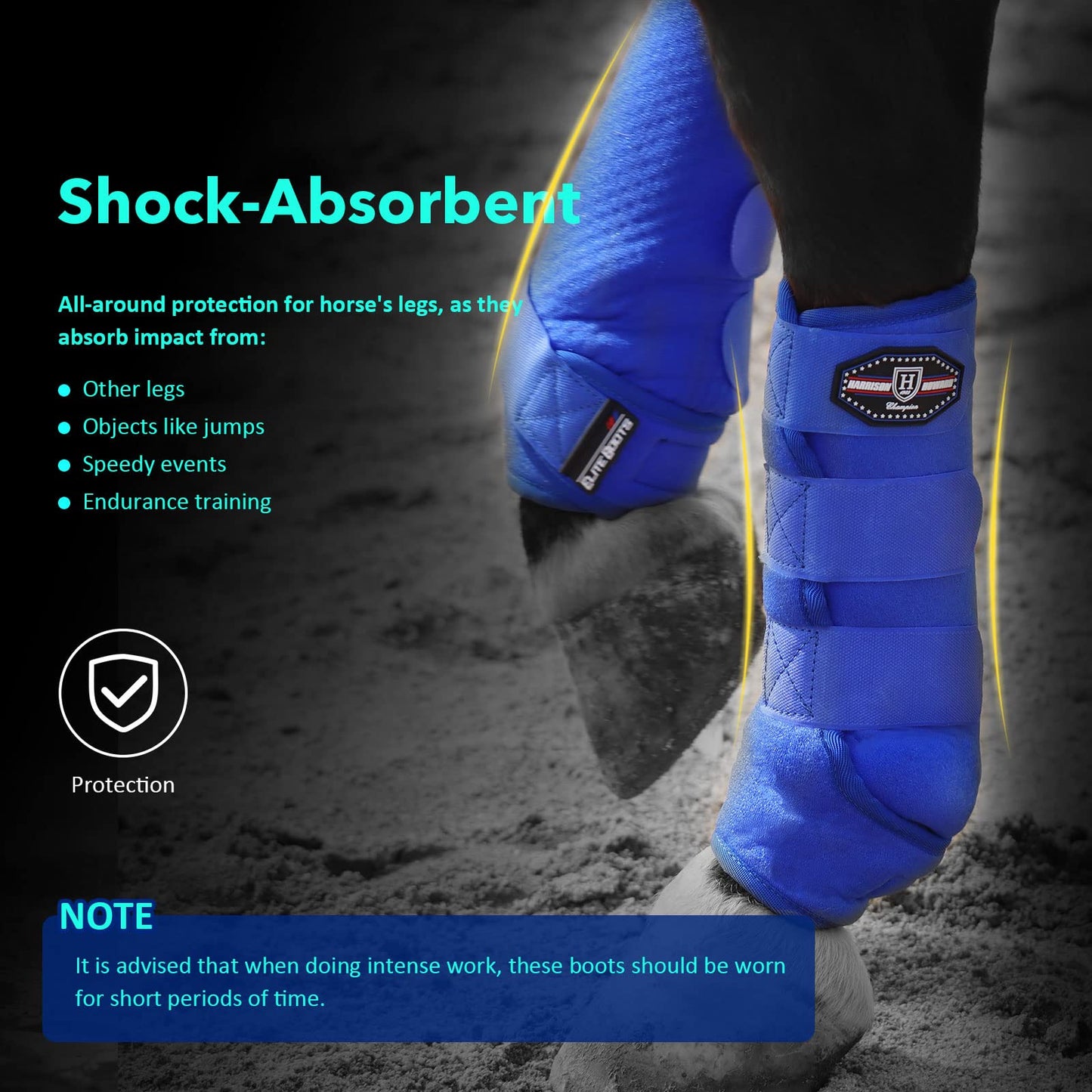 Harrison Howard Horse Sport Medicine Front Shock-Absorbing Boots All-Round Lower Limb Protection & Support Sport Boots Perfect for Endurance Training and Performance Pack of 2 Aquamarine L