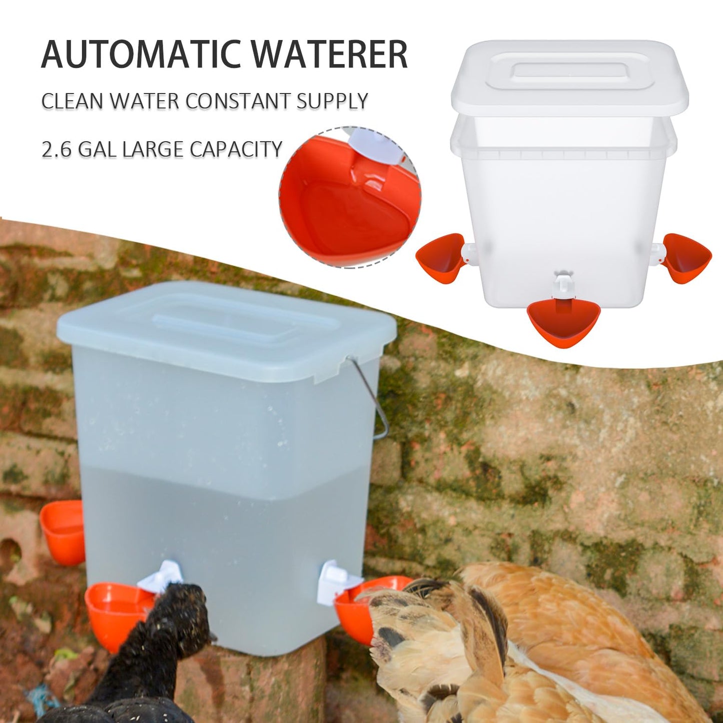 Automatic Chicken Feeder and Waterer Set Chicken Feed Bucket with 3 Feeders Ports Poultry Waterer Water Cups