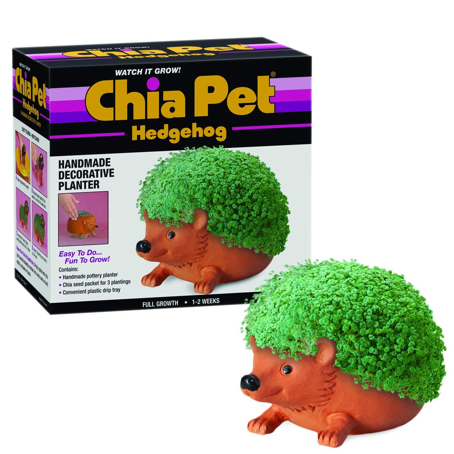 Chia CP438-01 Pet Hedgehog Decorative Pottery Planter, Easy to Do and Fun to Grow