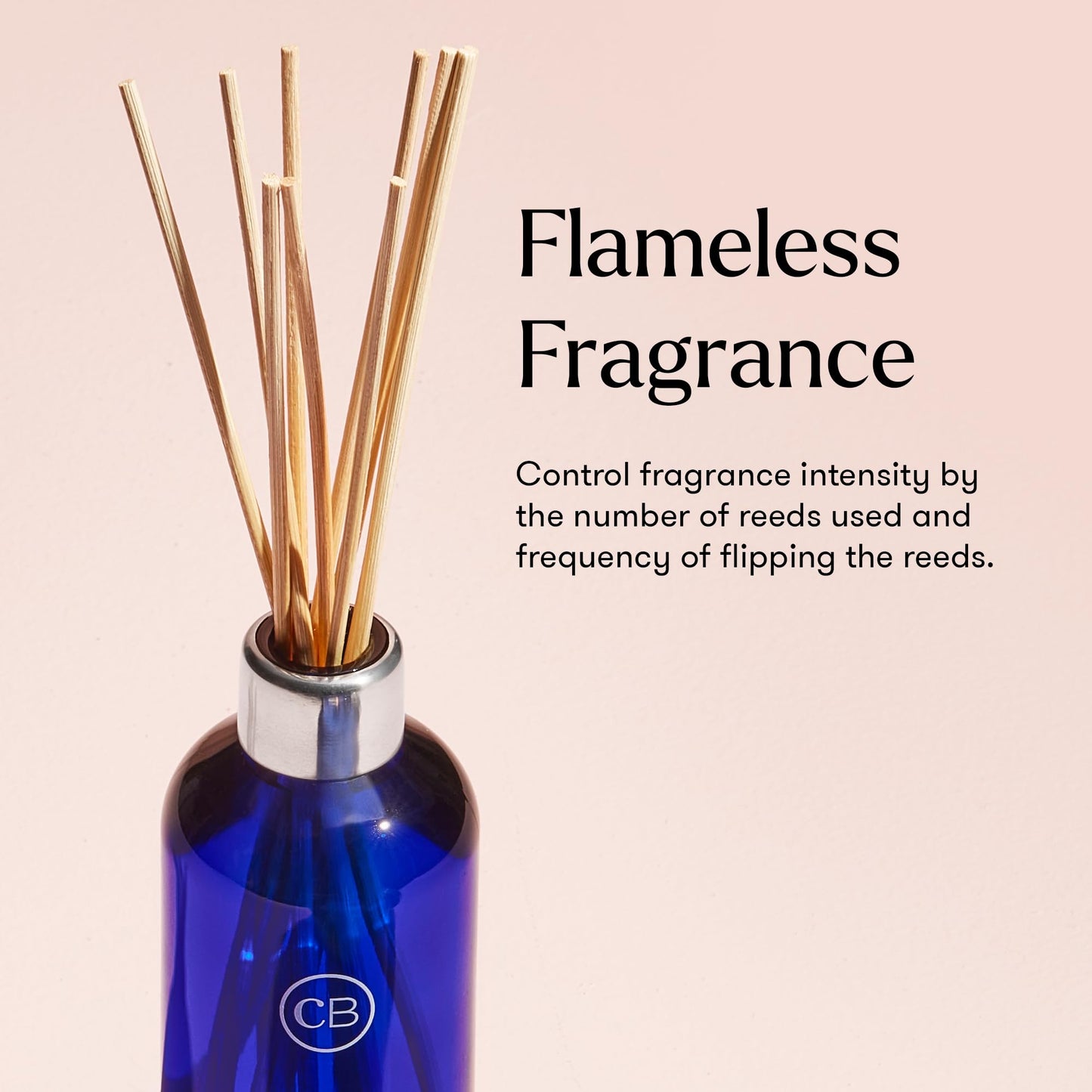Capri Blue DPM Reed Diffuser Volcano Fragrance Size: 8 Ounce