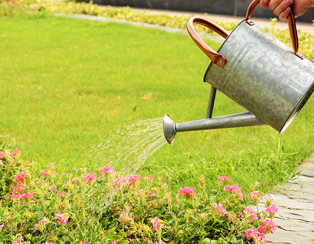 yourjoy Metal Watering Can, One Gallon Watering Cans Stainless Steel for Outdoor Indoor Garden Plants Watering (Silver)