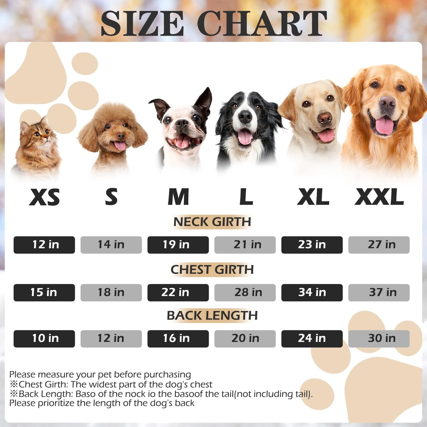 EXPAWLORER Dog Hoodie - Bad to The Bone Lettered Sweatshirt with Hood, Warm Fleece Dog Sweater, XXL Size, Cozy Soft Pet Outfit with Leash Hole