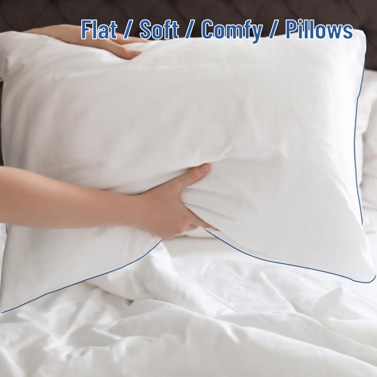 SILUI Flat Soft Thin Pillows Queen Size Set of 2 Pack Bed Pillow with Down Alternative Fill for Side Back Stomach Sleepers, 20x30 Inches, White