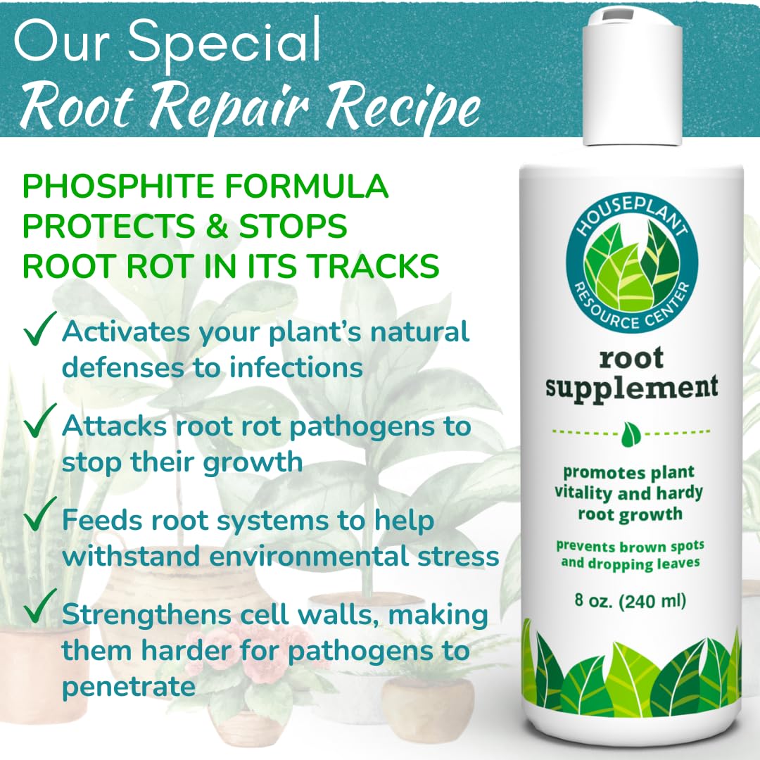 Root Supplement & Liquid Root Stimulator | Promotes Strong Roots & Root Rot Recovery | Encourages New Growth | Ideal for Fiddle Leaf Fig & Indoor Plants | 8 oz