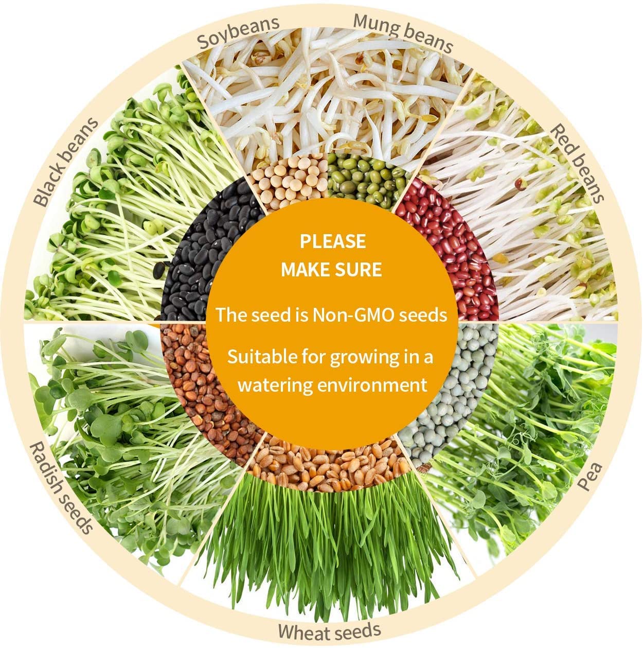 Bean Sprouts Machine, Seed Sprouter Kits, LED Display Time, Intelligent Automatic Bean Sprouts Maker, 2 Layers Function Large Capacity Seed Grow, Also for Radish, Alfalfa, Wheatgrass, Broccoli Sprouts