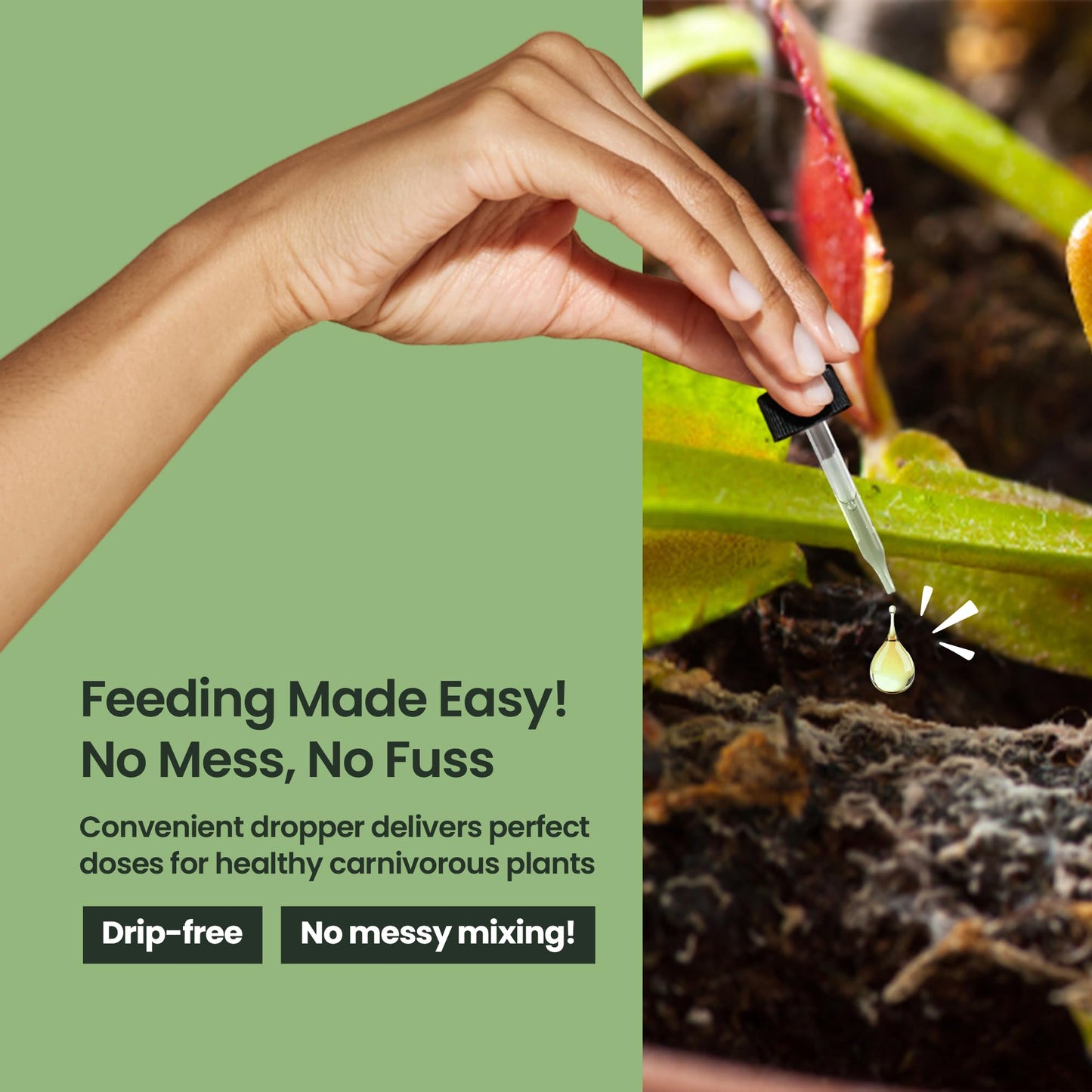 4oz Carnivorous Plant Food & Venus Fly Trap Food - Feeds up to 500 Times, Tropical Plant Fertilizer for Carnivorous Plants, Premium Liquid Fertilizer & Feeding Supplement for Consistent Growth