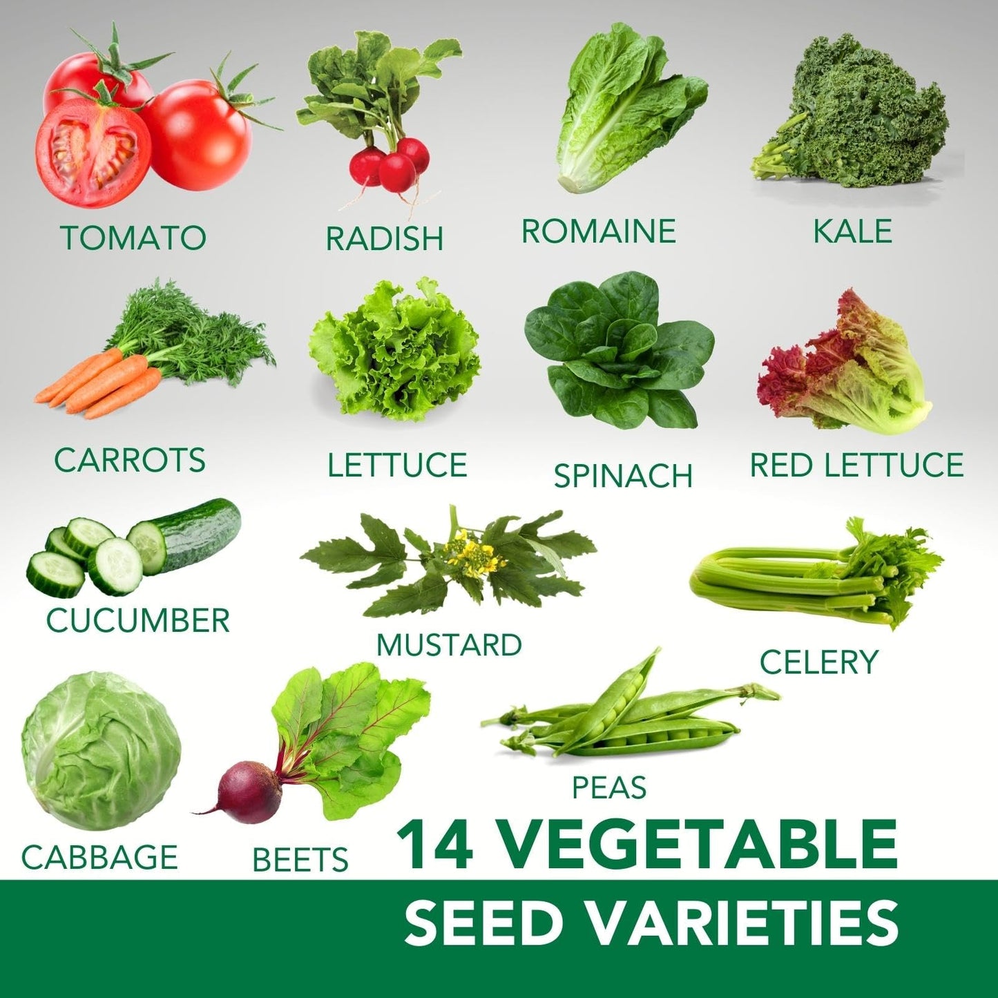 22 Vegetable & Herb Seed Pack | 10,000+ Seeds | Grown in West Coast Canada | Easy to Grow Varieties | for Canadian Climates | Container, Raised Beds, and More | Large Enough for Survival Gardens