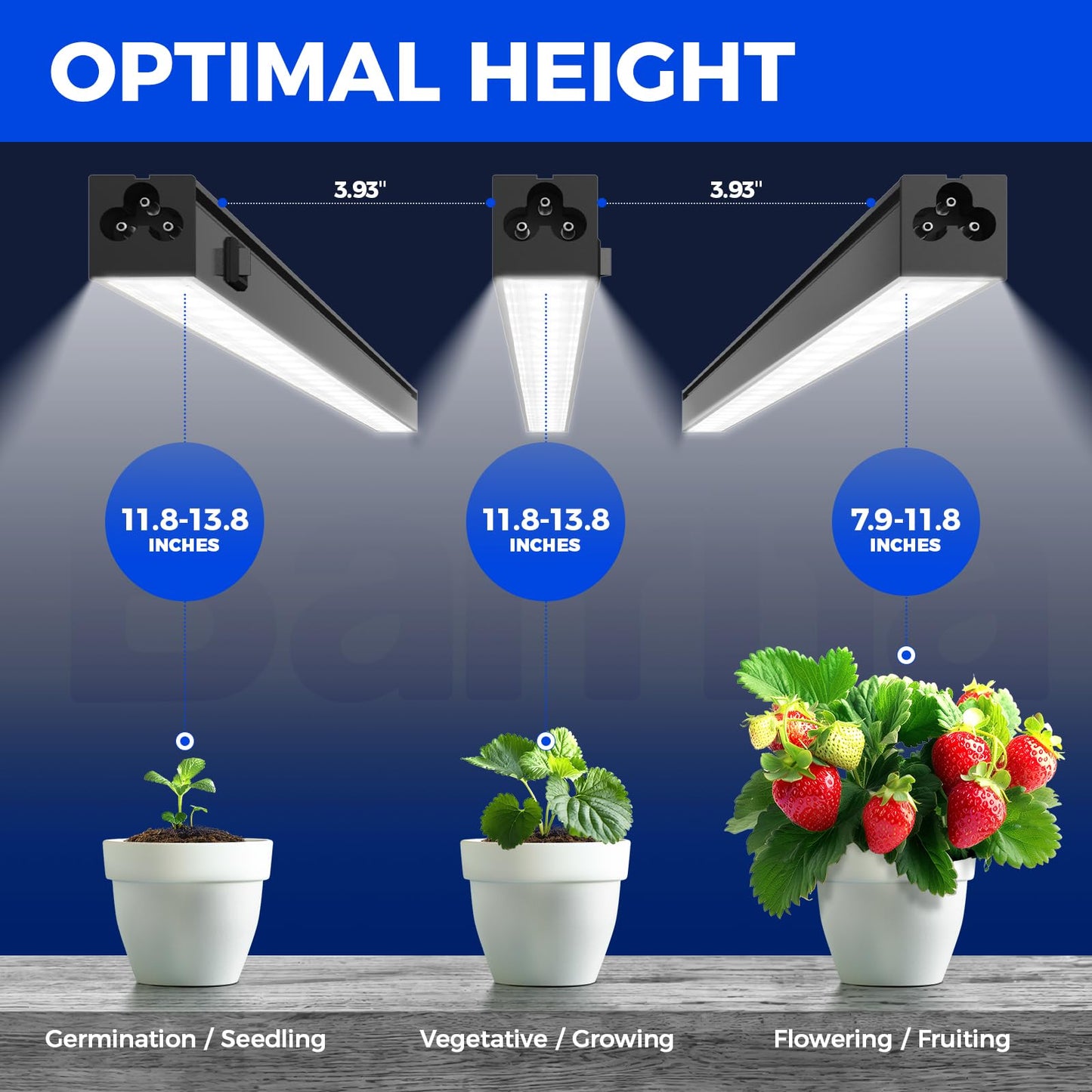 Barrina Plant Grow Lights, 5000K Full Spectrum Daylight White, T5 LED Grow Light Strips, 1ft Growing Lamp with Magnetic Bar, Plant Lights for Indoor Plants,Black Cover, Linkable, 8 Packs