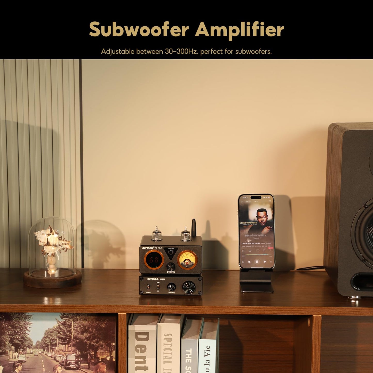 AIYIMA A3001 Mini Mono Amp 300W Subwoofer Amplifier TPA3255 Class D Amp with Full-Frequency & Sub Bass Home Audio Speaker amp+ DC36V 6A Power Adapter