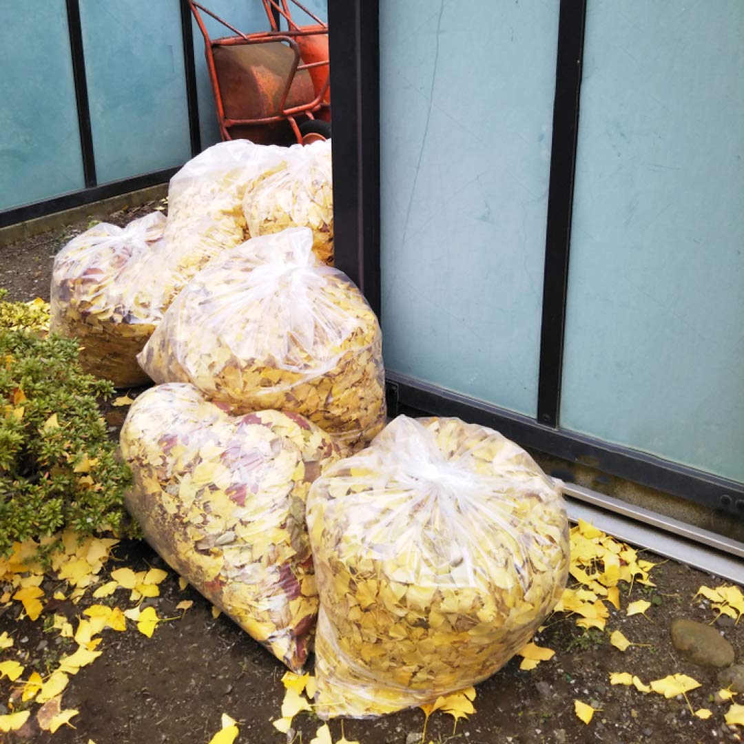 55 Gallon Clear Trash Bags, (50 Bags w/Ties) Large Clear Plastic Recycling Garbage Bags