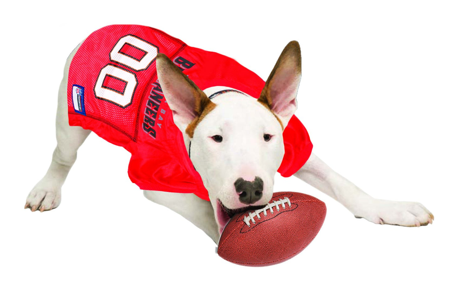 NFL Tampa Bay Buccaneers Dog Jersey, Size: XX-Large. Best Football Jersey Costume for Dogs & Cats. Licensed Jersey Shirt