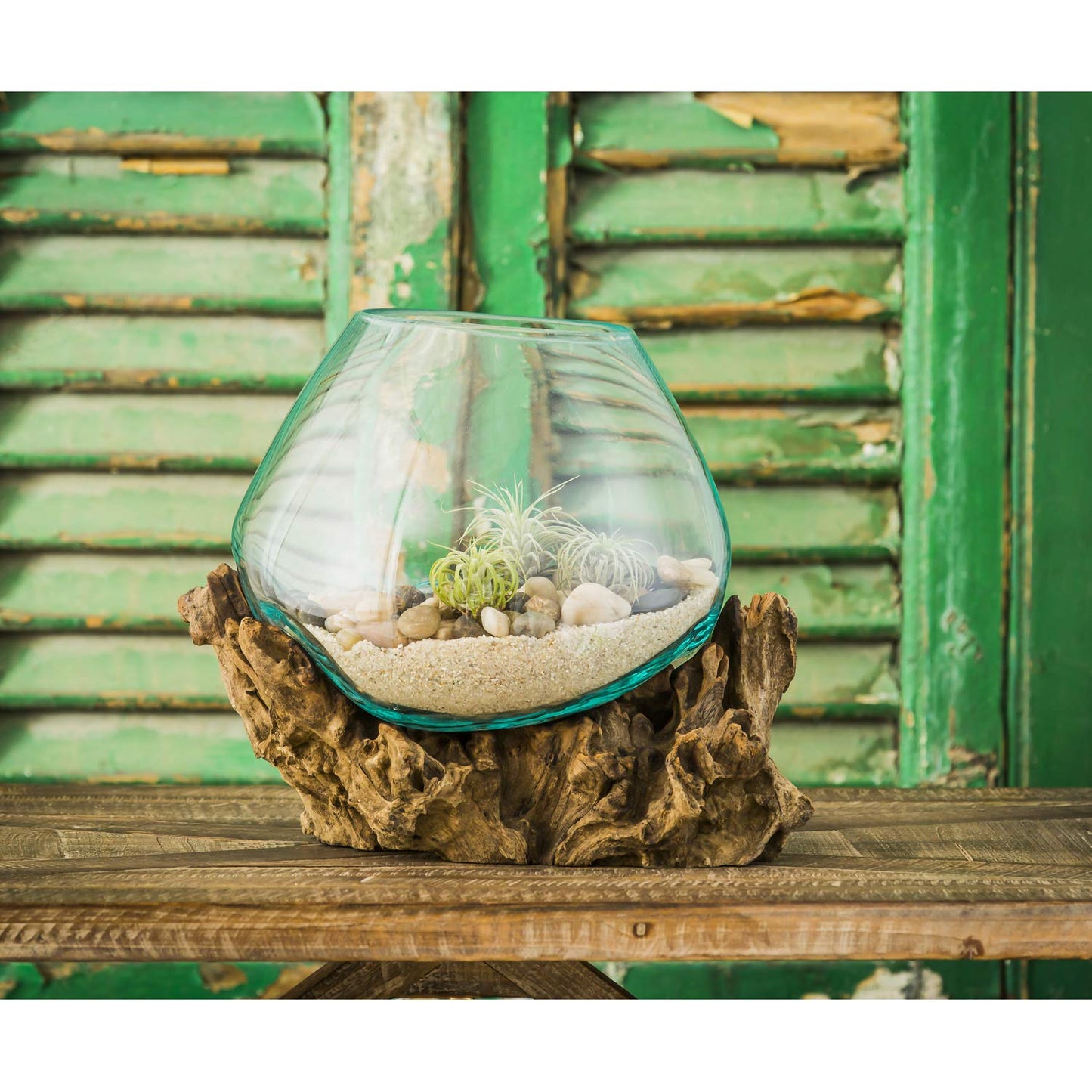 Cape Craftsmen Glass Planter on Driftwood