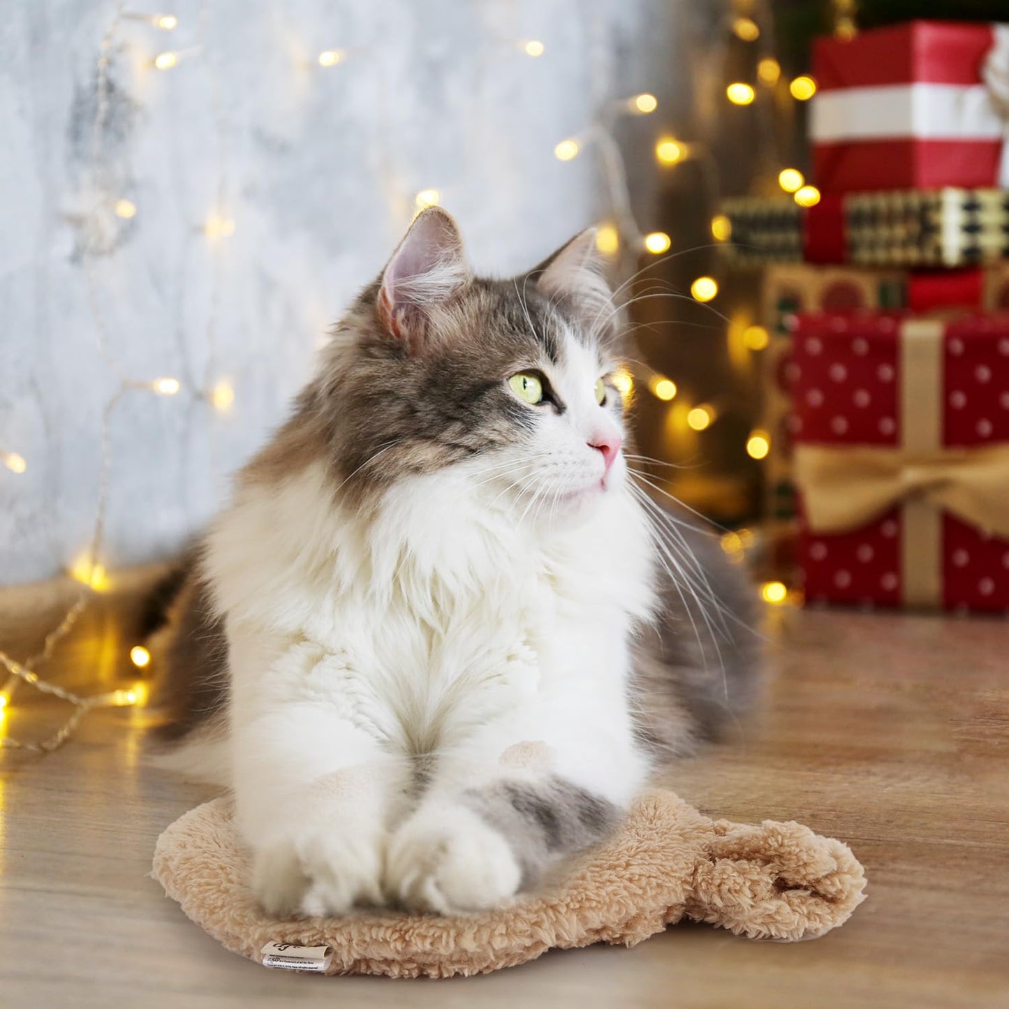 ALL FOR PAWS Heated Cat Bed Indoor, Microwavable Heating Pads for Cats, Puppies & Small Pets, Non-Electric Heating Dog Bed with 2 Cozy Covers, Safe & Long-Lasting Warmth