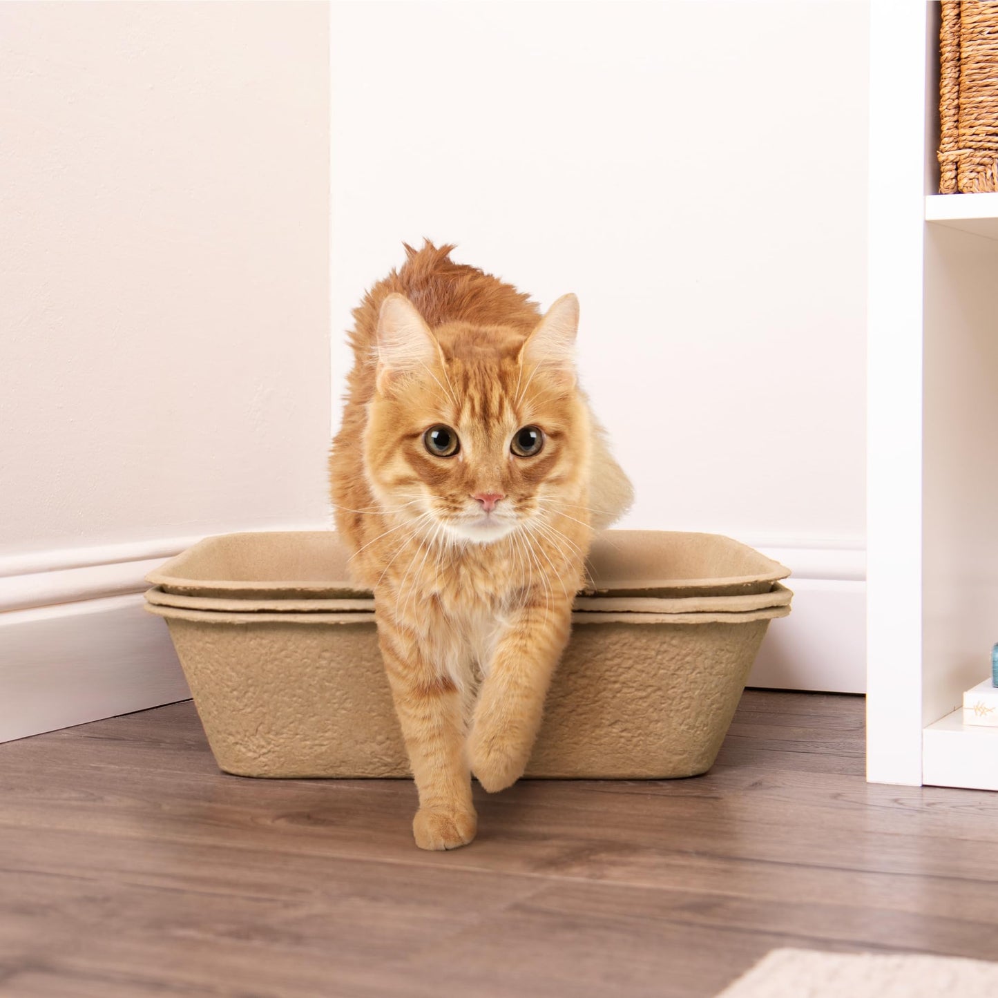 Kitty Sift (Set of 1 Litter Box & 5 Sifting Liners) Sustainable, Clean, Sifting, Disposable Cat Litter Box Kit - Jumbo, 6-Set Kit