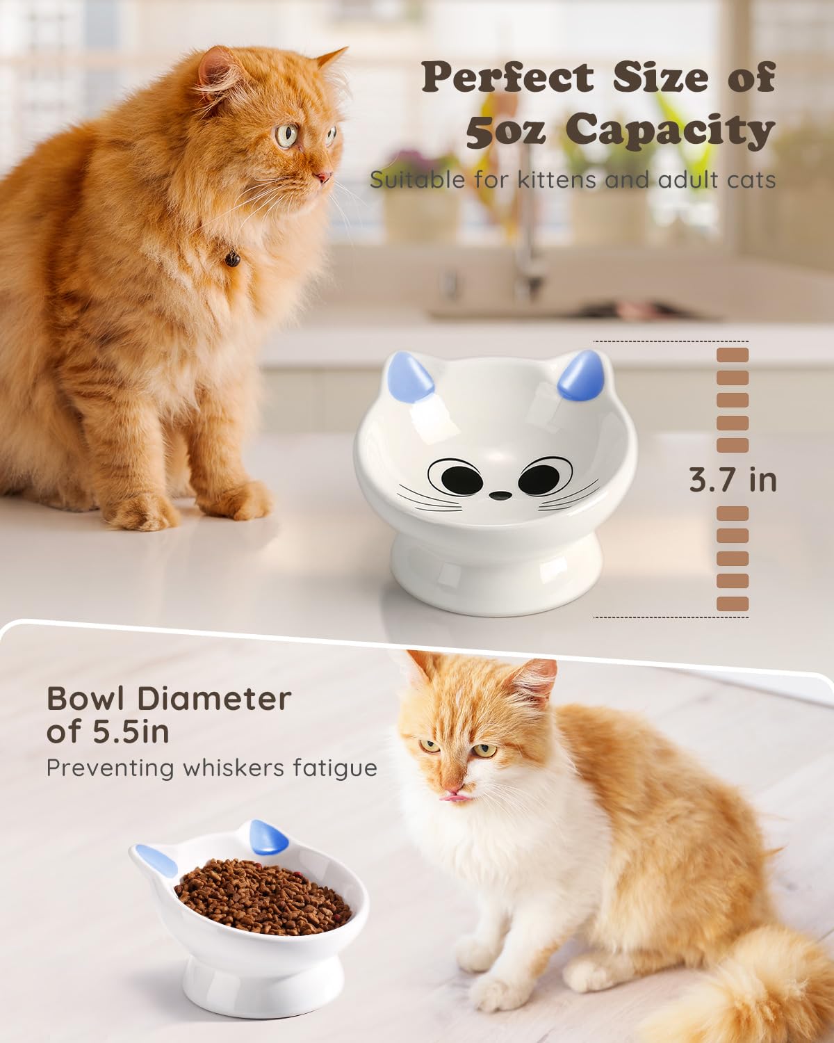 2Pcs Raised Cat Food Bowl Ceramic 15° Tilted Food Bowls Protect Cat's Spine Anti Vomiting Backflow Prevention Cat Bowls for Adult Kitten, and Small Dogs, Blue