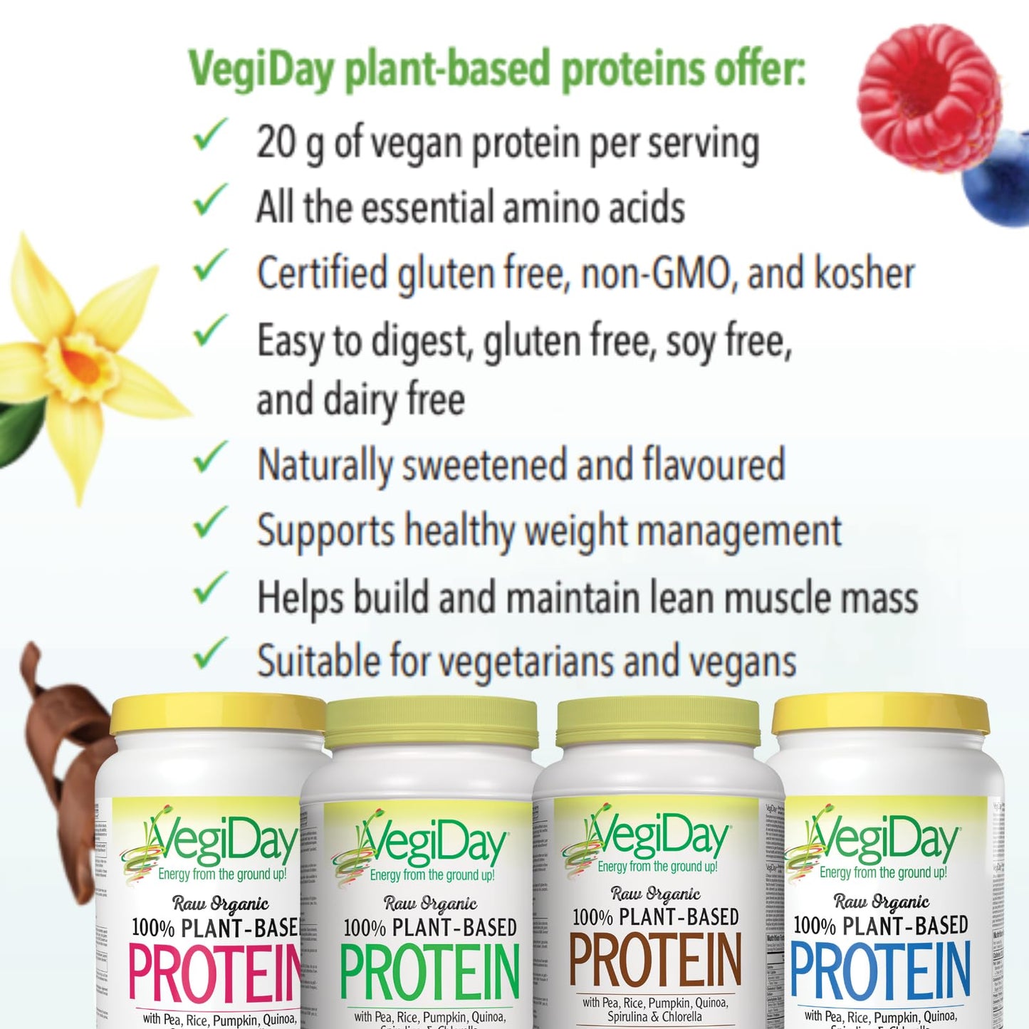 VegiDay Raw Organic Plant Based Protein 20g, French Vanilla, 1110g with Pea, Pumpkin, Chia, Quinoa, Spirulina & Chlorella