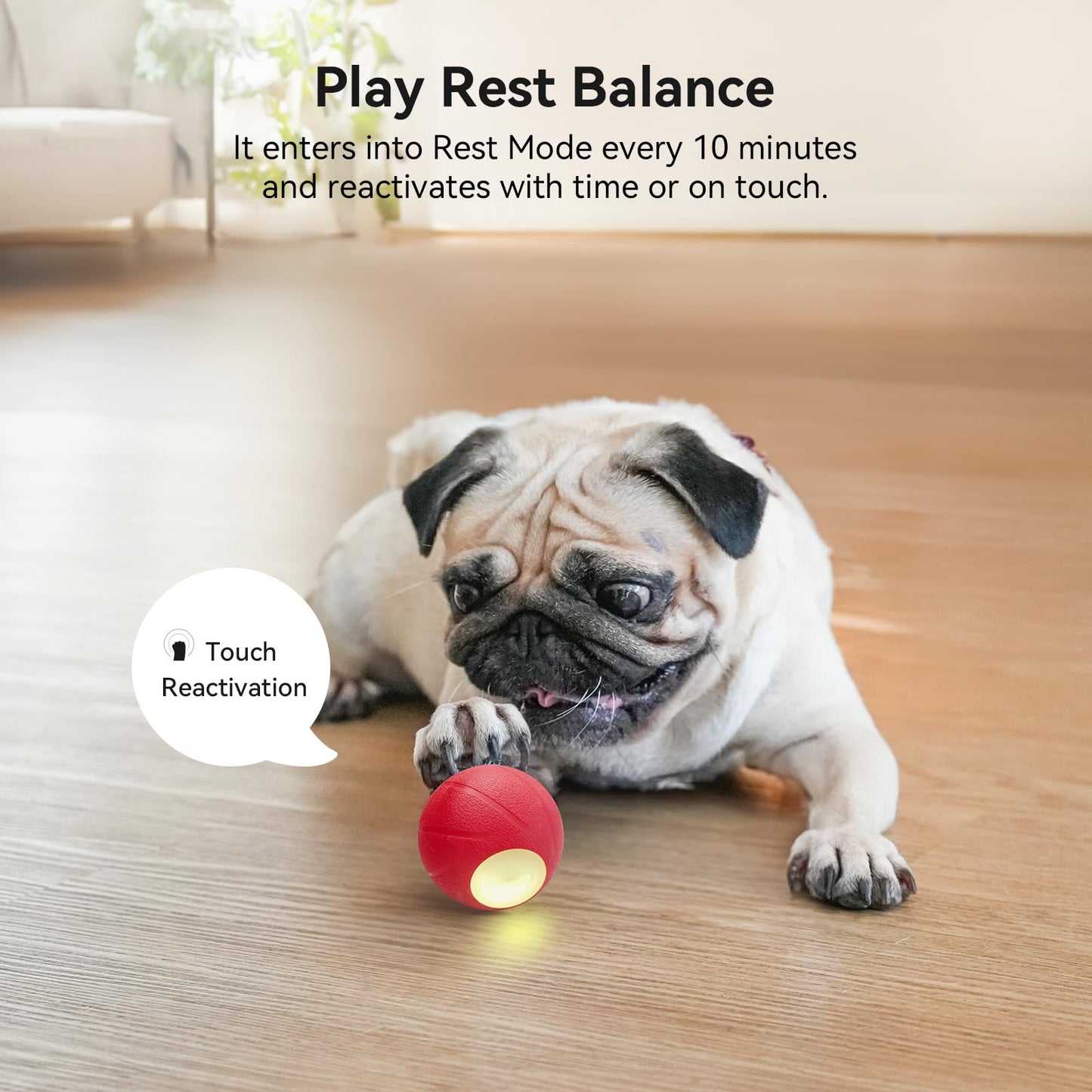 Cheerble Smart Interactive Dog Toys, [Enhanced Rubber] Wicked Ball SE, 3 Interactive Modes, Active Rolling Dog Toy with LED Lights, Self Moving Bouncing Rotating Ball (Small Dog)