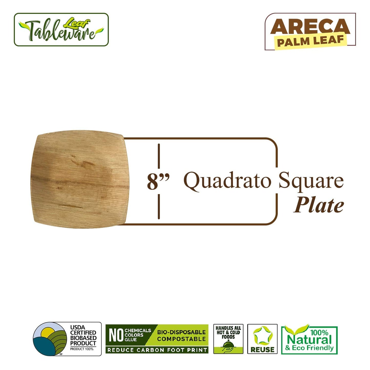 Bio Mart Square Dinnerware Set - Areca Palm Leaf Plates & Cutlery | 10-Inch & 8-Inch Quadrato | 50 Pcs Eco-Friendly Biodegradable & Compostable Dining Kit