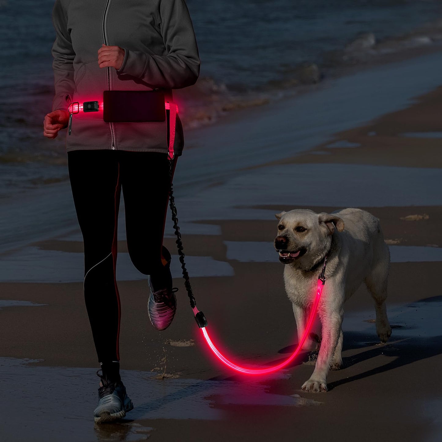 Vizbrite LED Hands Free Dog Leash, Waist Leash for Dog Walking, Retractable Bungee Light Up Dog Leash, Reflective Running Leash for Jogging, Training, Hiking
