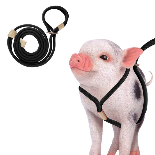 MinrzPet Pig Harness, Adjustable 8 Feet Leash for Small to Medium Pet Pigs