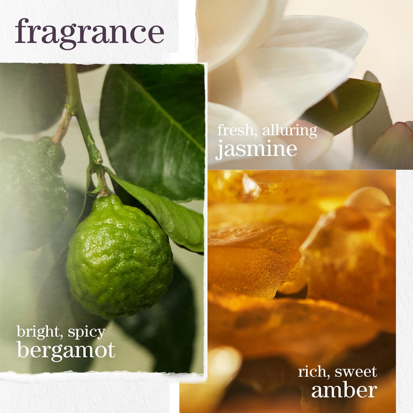 Pureology Strength Cure Leave-In Serum for Damaged Hair, Heat Protectant, Restores and Seals Split Ends,Infused with Lactic, Amino and Citric Acids, Strengthens, 100ml