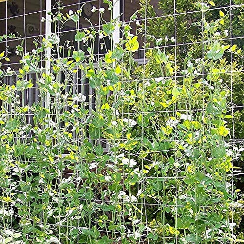 Toolazy Soft Mesh Nylon Trellis Netting Bulk Roll - 5 x 350 ft Heavy-Duty Garden Netting for Climbing Plants,Garden Melons Vegetables, Grape Racks, Hydroponic