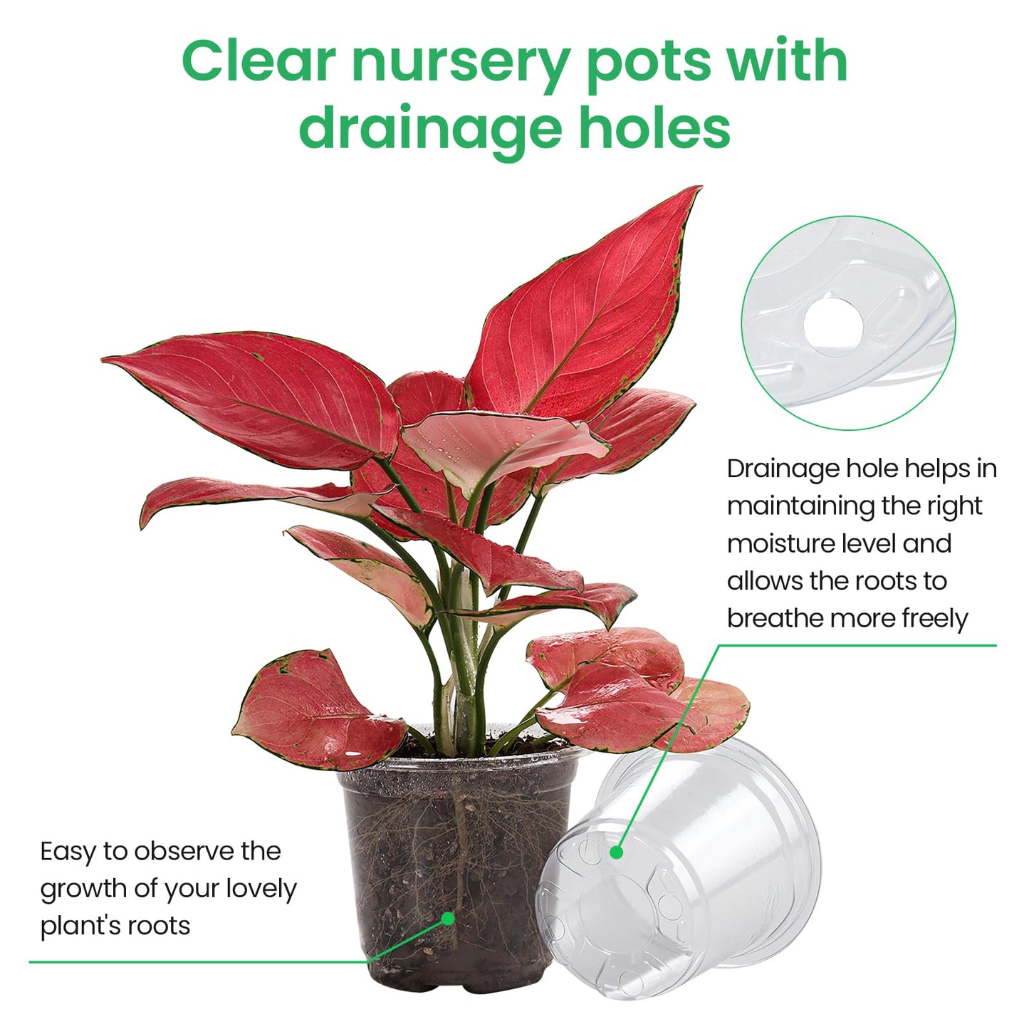 Bluepro 30 Packs 7/5/4 Inch Reinforced Clear Nursery Pots with Drainage Hole, Transparent Variety Pack Plastic Plant Pot Seedling Planter Seed Starter Flower