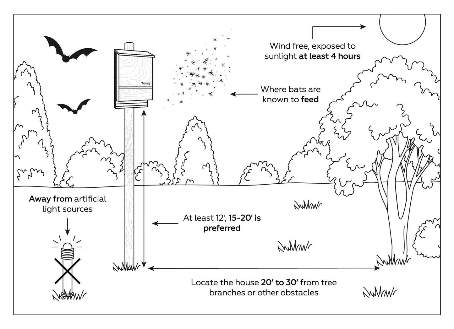 Bat House - Outdoor Bat Box Shelter with Single Chamber - Handcrafted from Cedar Wood - Easy for Bats to Land and Roost - Weather Resistant & Ready to Install