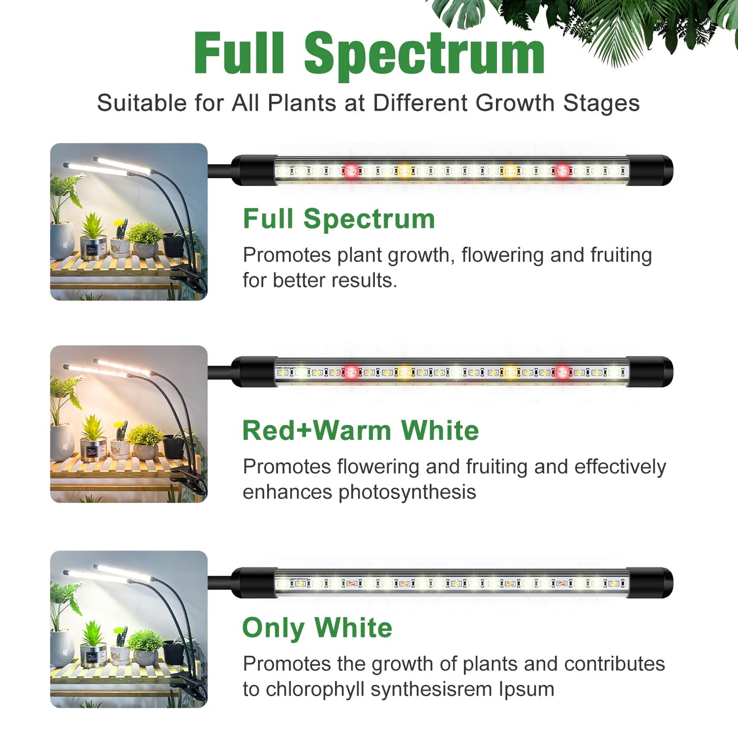Wolezek Grow Lights for Indoor Plants, 2 Pack 6000K LED White Plant Grow Lights Indoor, Full Spectrum Grow Lamp with Clip, Auto ON & Off Timer 6/12/16H, 3 Modes, 5-Level Dimmable Brightness