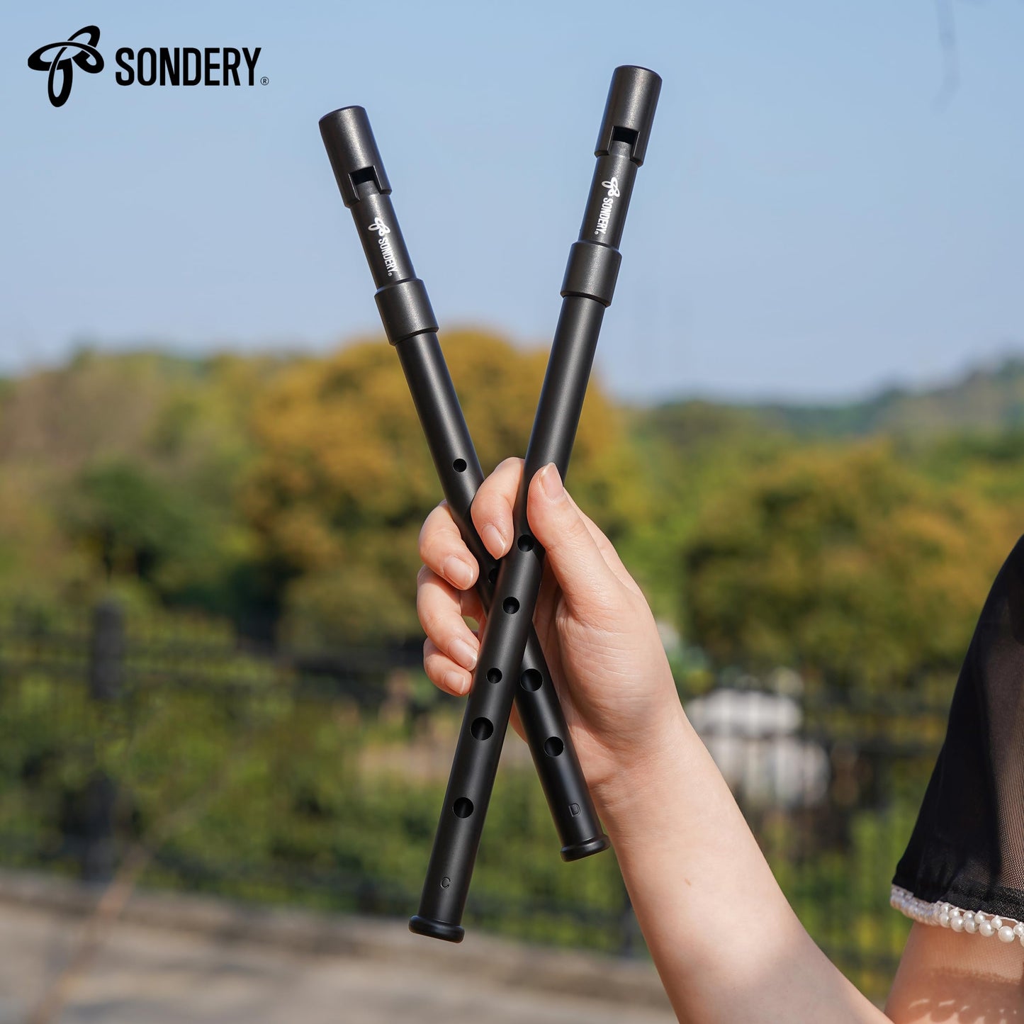 Irish Tin Whistle Set Key of C and Key of D Tin Whistle Penny Whistle ABS Plastic