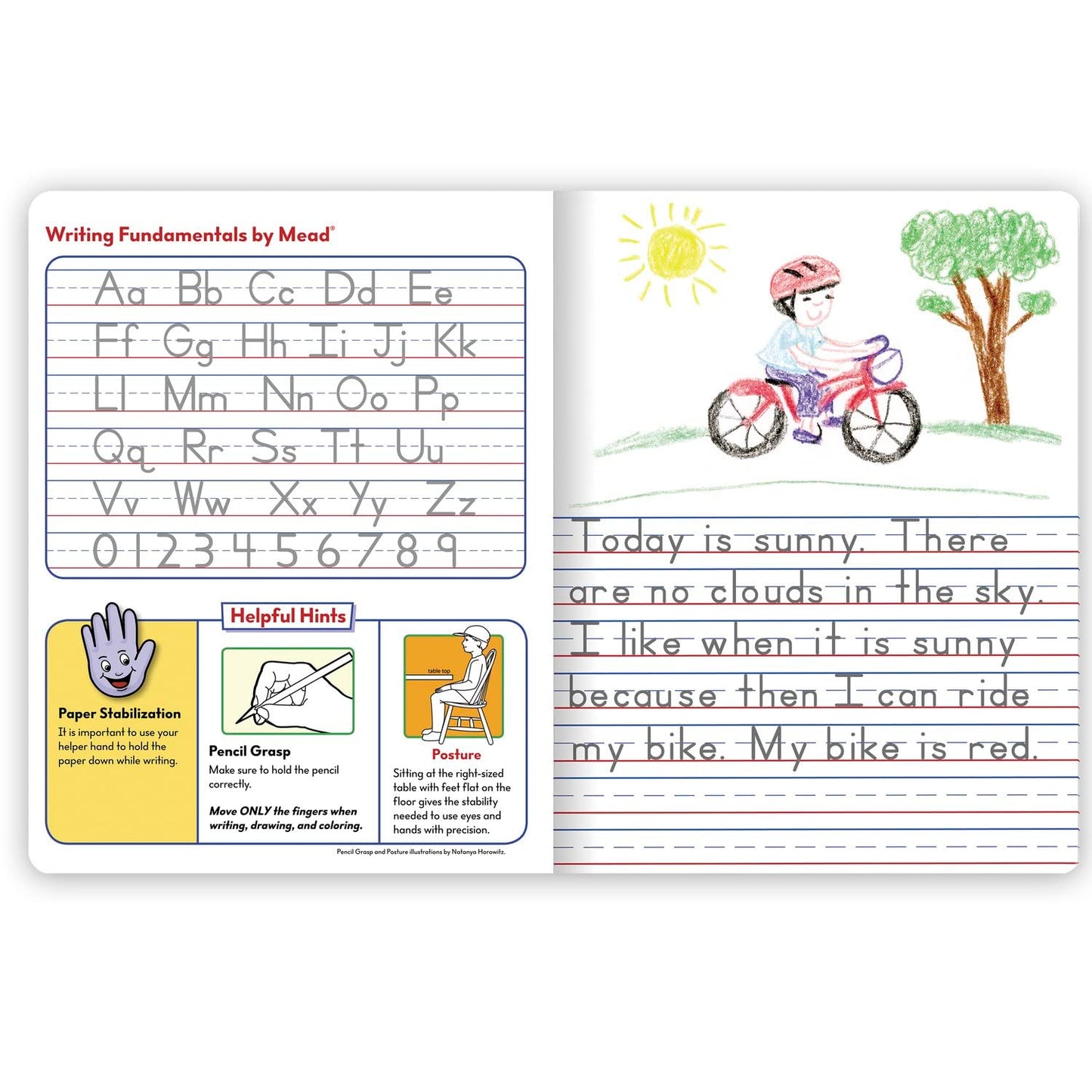 Mead Primary Journal, 12 Pack, Half Page Ruled, Grades K-2, 7-1/2" x 9-3/4", 100 Sheets per Journal, Assorted Colors (610052-ECM)