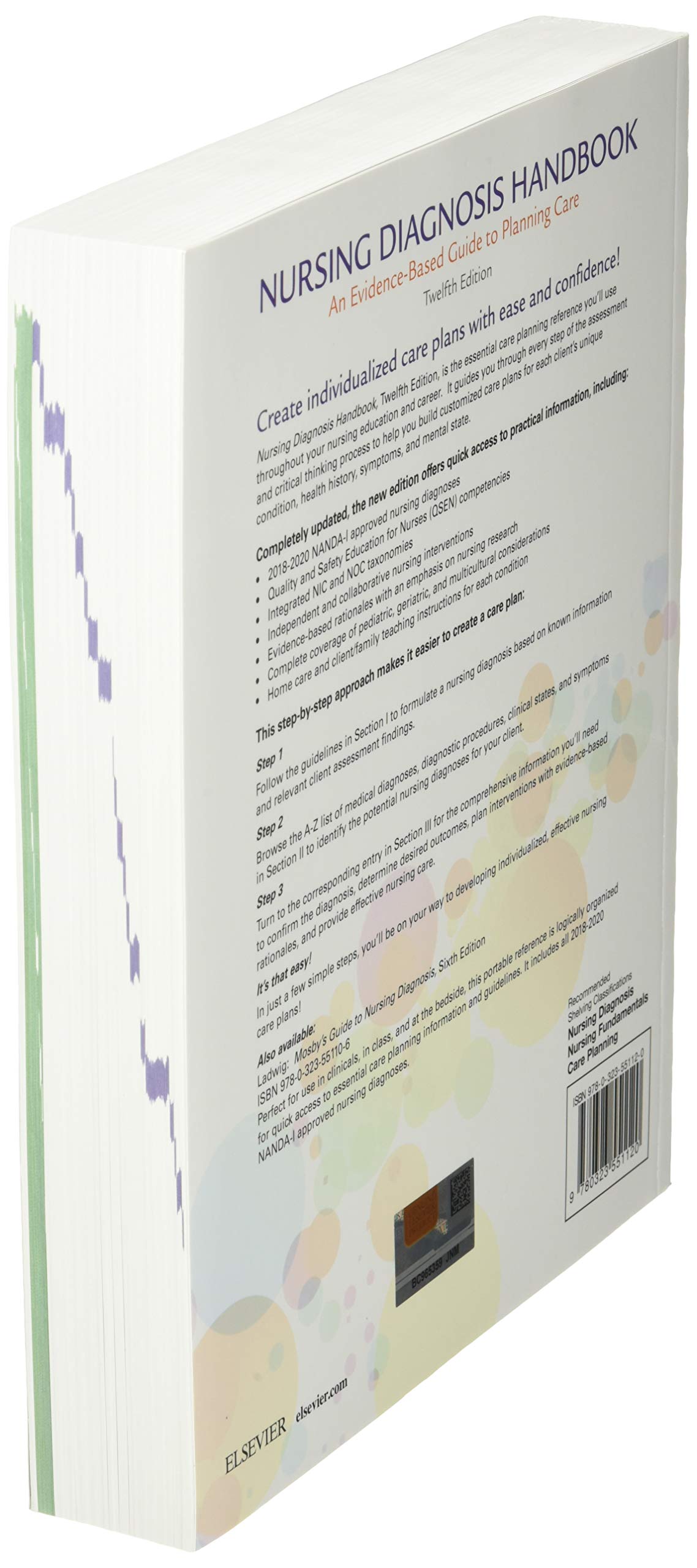 Nursing Diagnosis Handbook: An Evidence-Based Guide to Planning Care