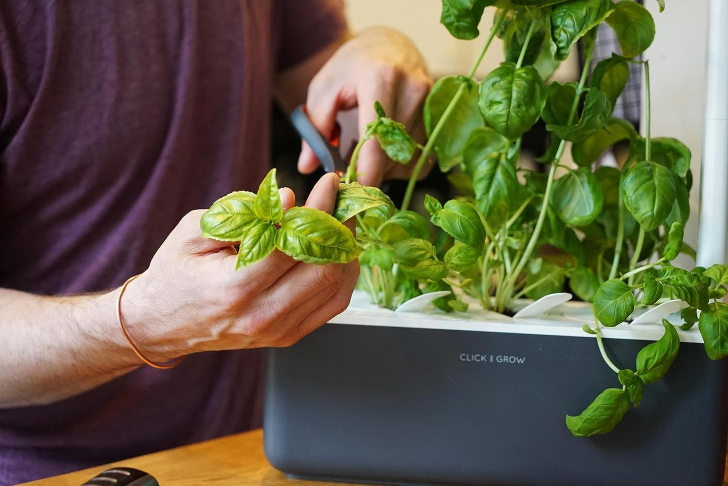 Click and Grow Smart Garden Basil Plant Pods, 9-Pack