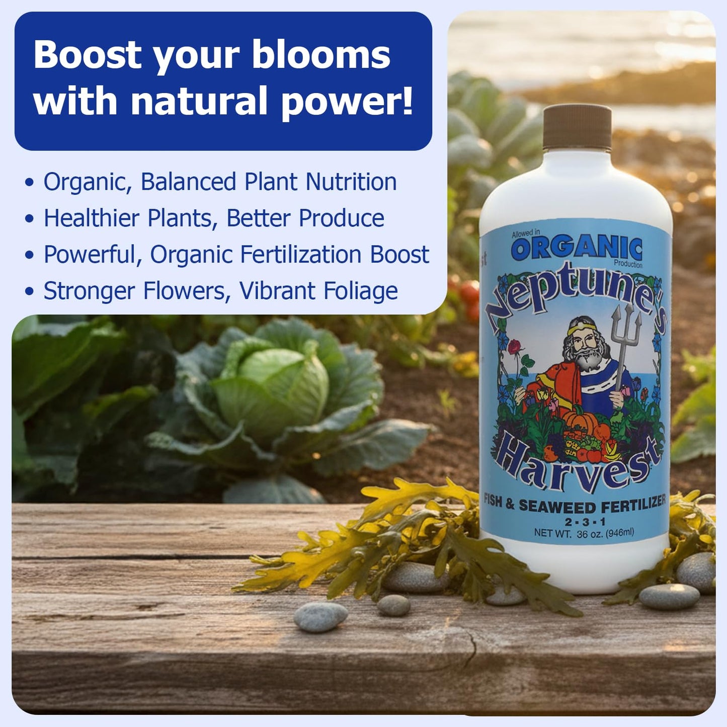 Neptune's Harvest Fish & Seaweed Blend Fertilizer 2-3-1 36 Oz